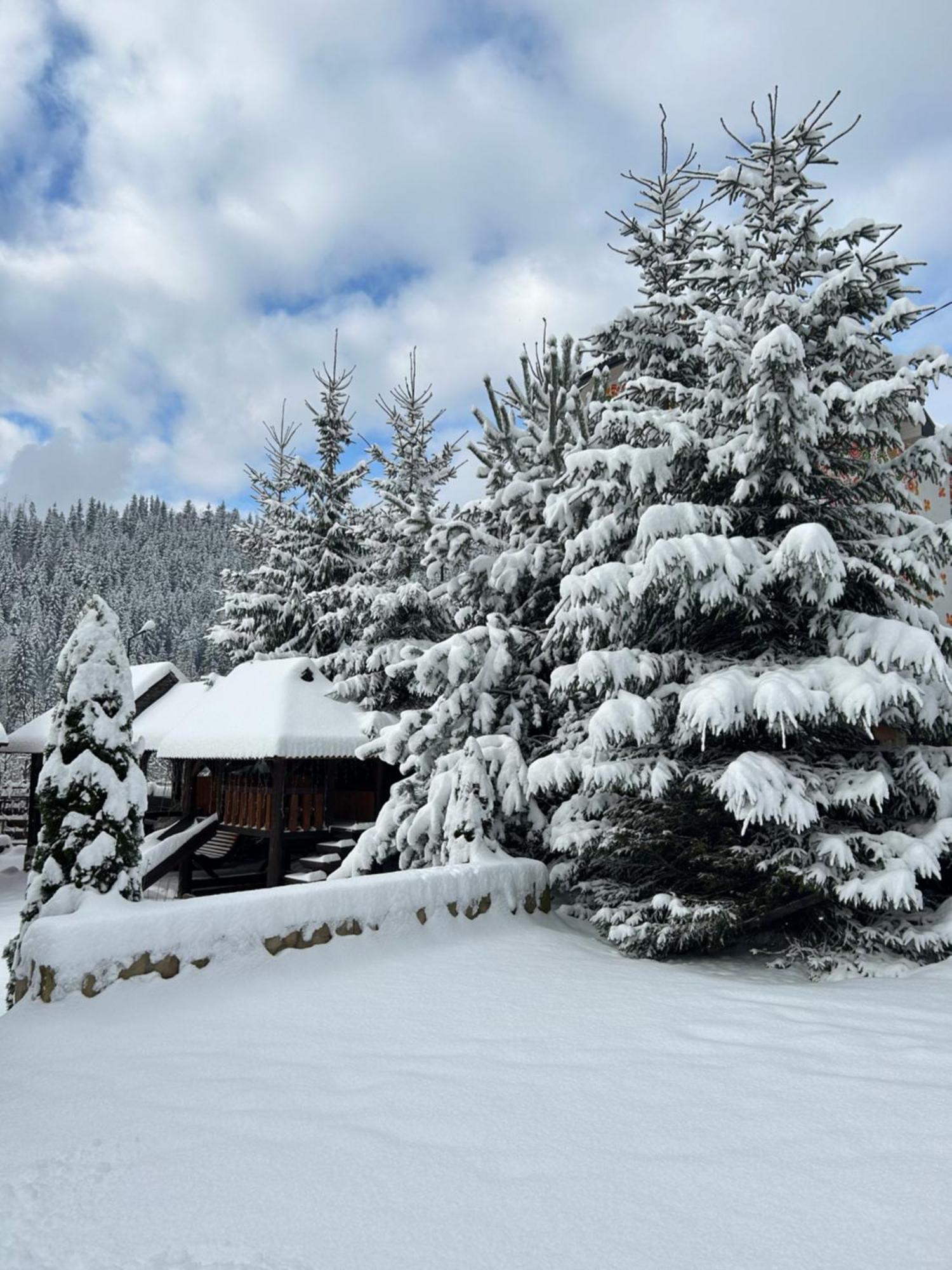 Guest House Kaspiy Bukovel Exterior foto